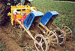 Krautzupfmaschine