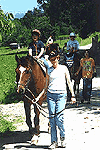 Reitspass f&uuml;r Kinder